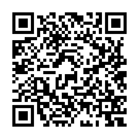 QR code for PG29376