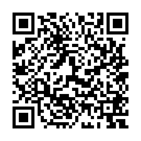 QR code for PG31487