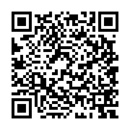 QR code for PG40597