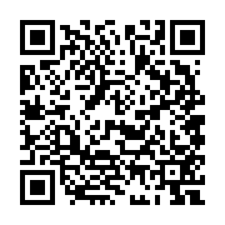 QR code for PG66533