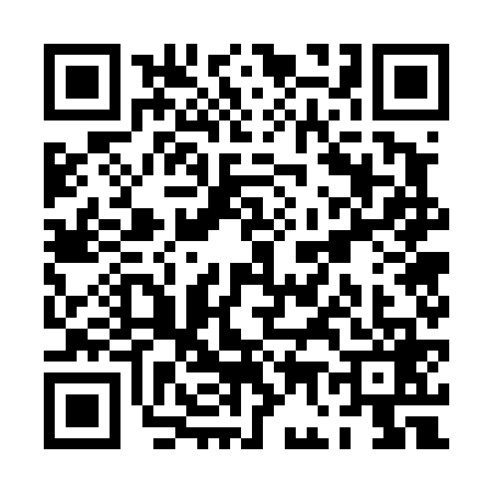 QR code for PG74691