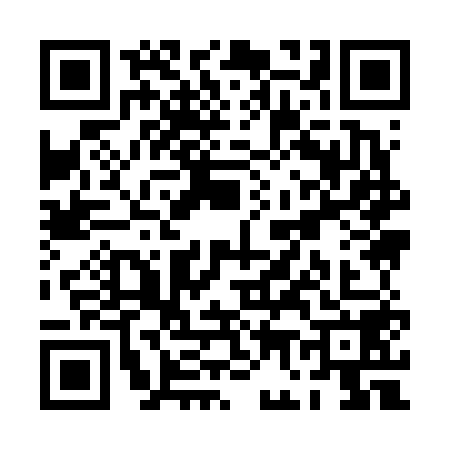 QR code for PG96585