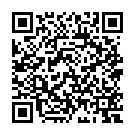 QR code for PG97533