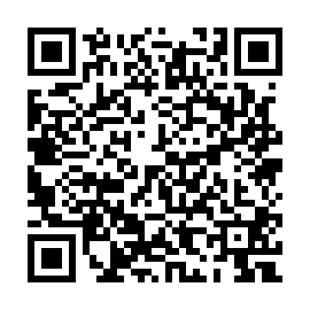 QR code for PH11007