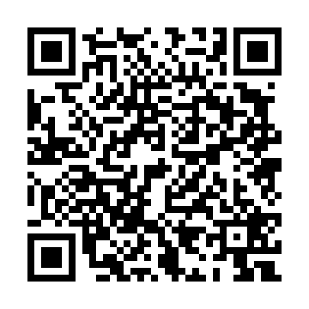 QR code for PI04293