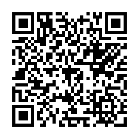 QR code for PI06577