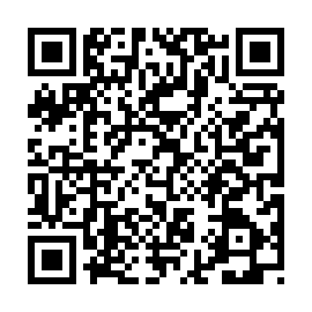 QR code for PI08878