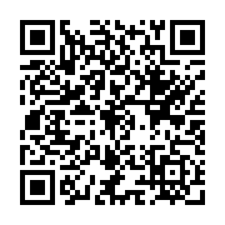 QR code for PI11594