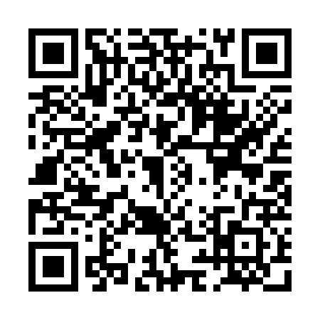 QR code for PI13222