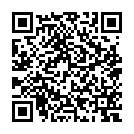 QR code for PI13550