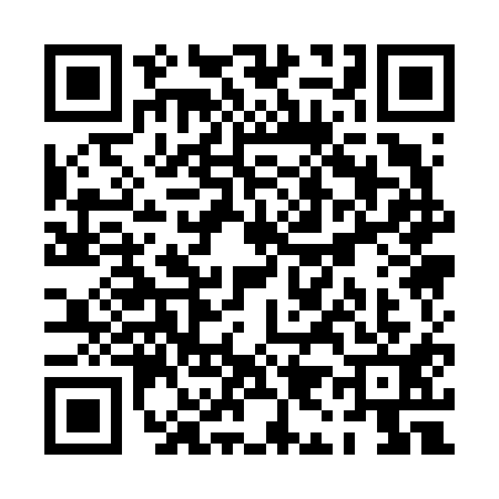 QR code for PI16113