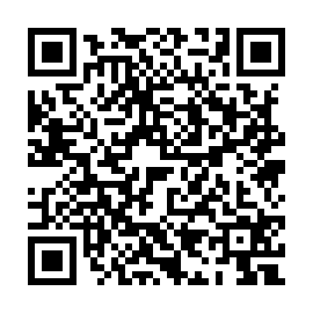 QR code for PI19249