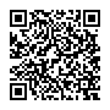 QR code for PI20667