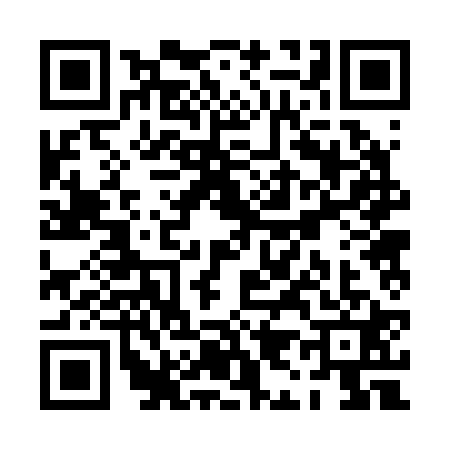 QR code for PI22219
