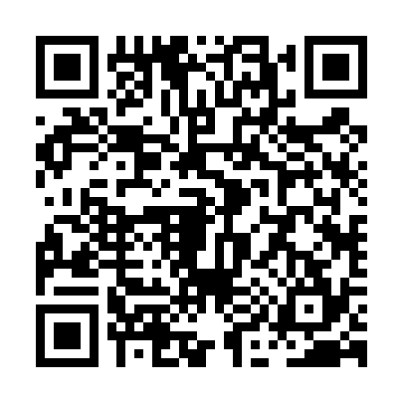 QR code for PI24341