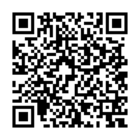 QR code for PI25608