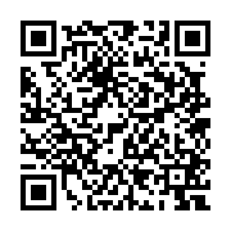 QR code for PI30416