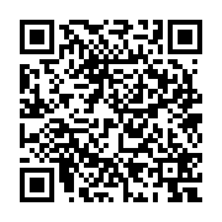 QR code for PI32294