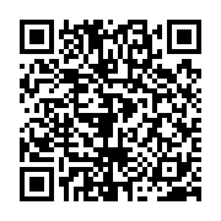 QR code for PI37314