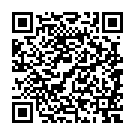 QR code for PI40810