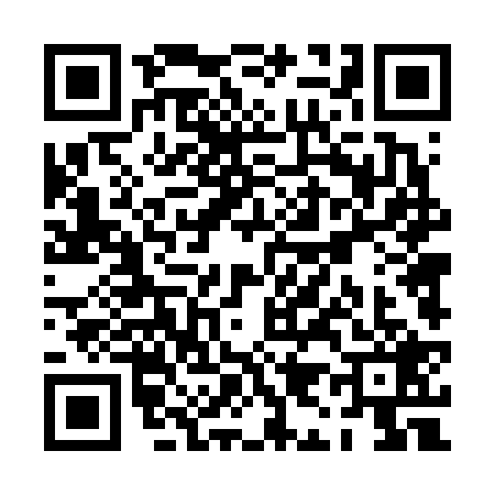 QR code for PI46295