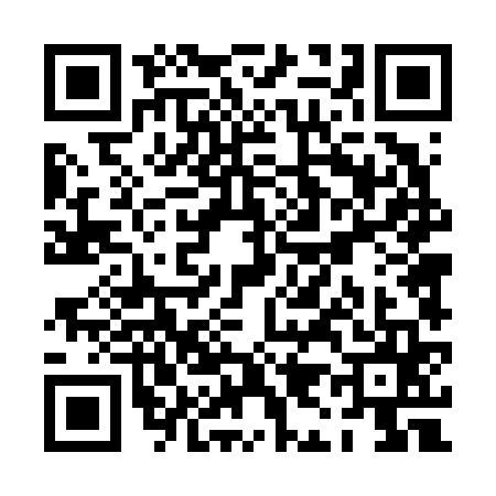 QR code for PI46656