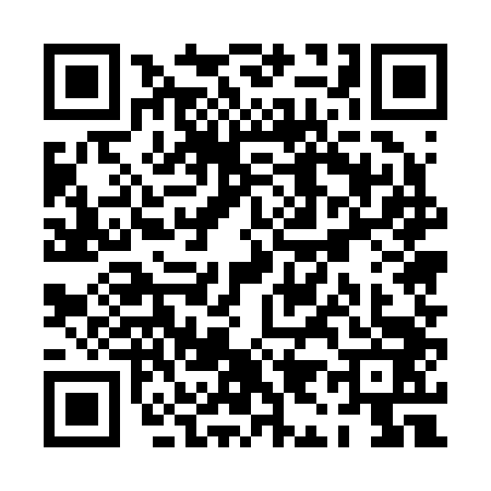 QR code for PI52434