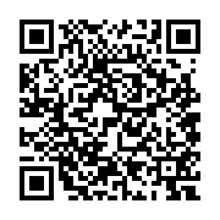 QR code for PI63510