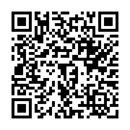 QR code for PI63918