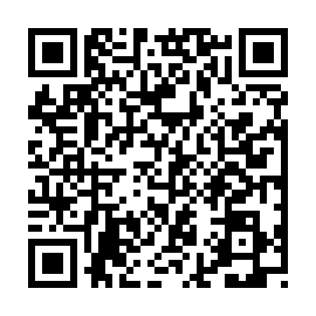 QR code for PI65381