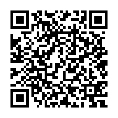 QR code for PI75316