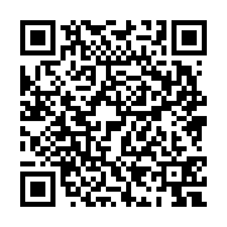 QR code for PI86317