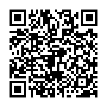 QR code for PI87701