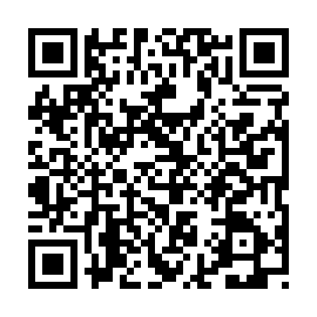 QR code for PI91150
