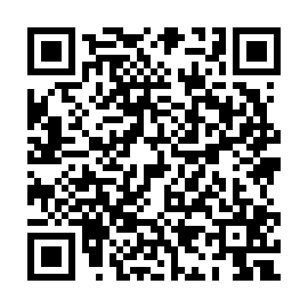 QR code for PI96056