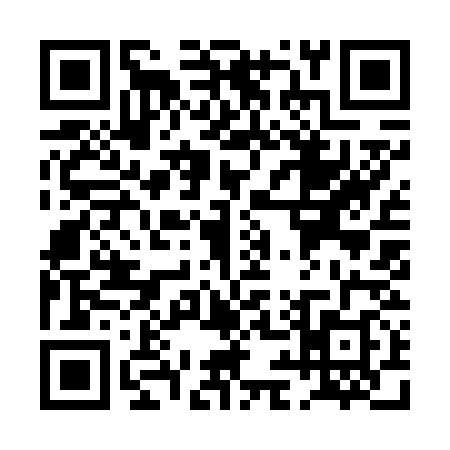 QR code for PI96382