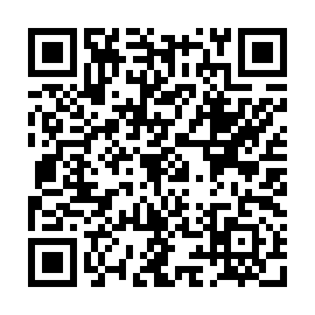QR code for PI96919