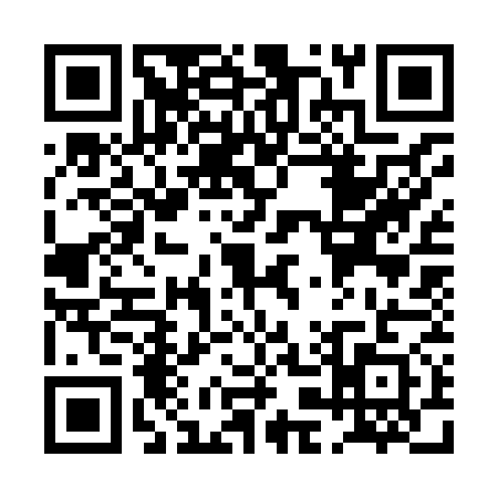 QR code for PK38713