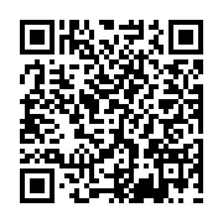 QR code for PK46338