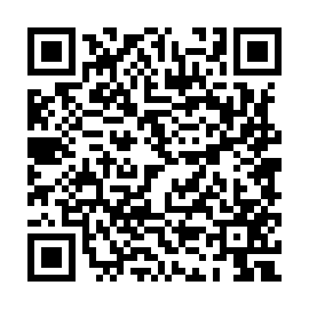 QR code for PK49577