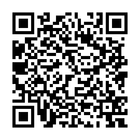 QR code for PK85379