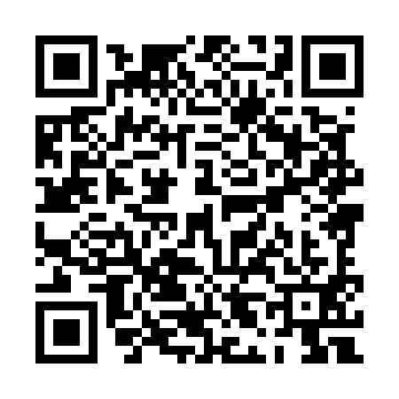 QR code for PL85919