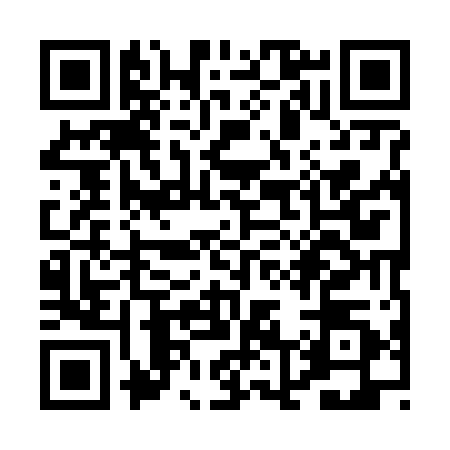QR code for PL96101