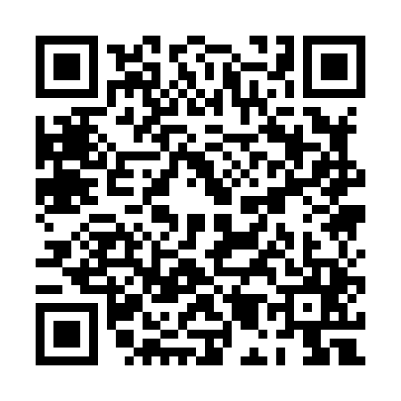 QR code for PM18453