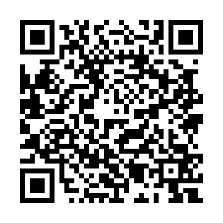 QR code for PM90638