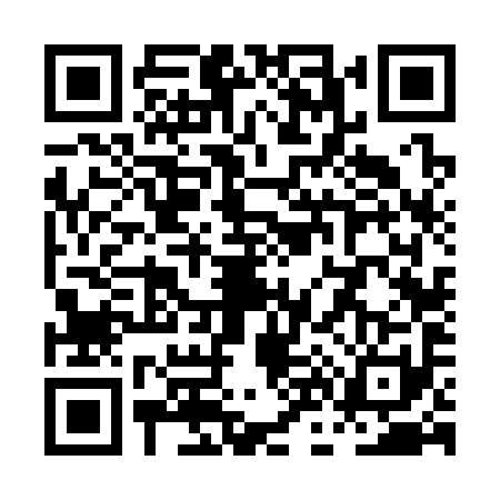 QR code for PN63916