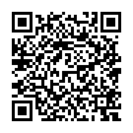 QR code for PN85096
