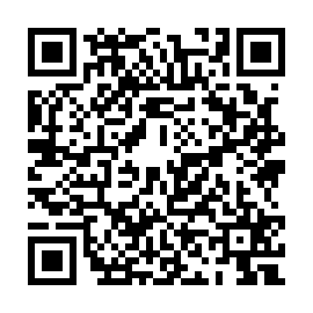 QR code for PN91253
