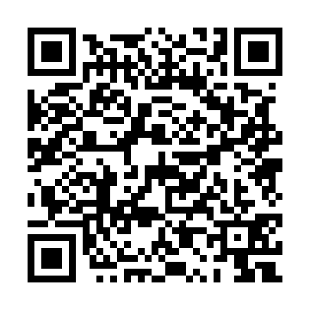 QR code for PP05311