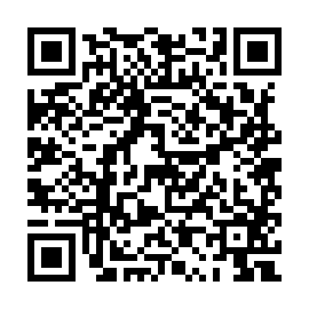 QR code for PP29863